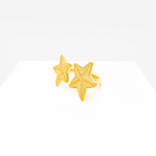 Cargar imagen en el visor de la galería, Anillo doble Estrella de Mar
